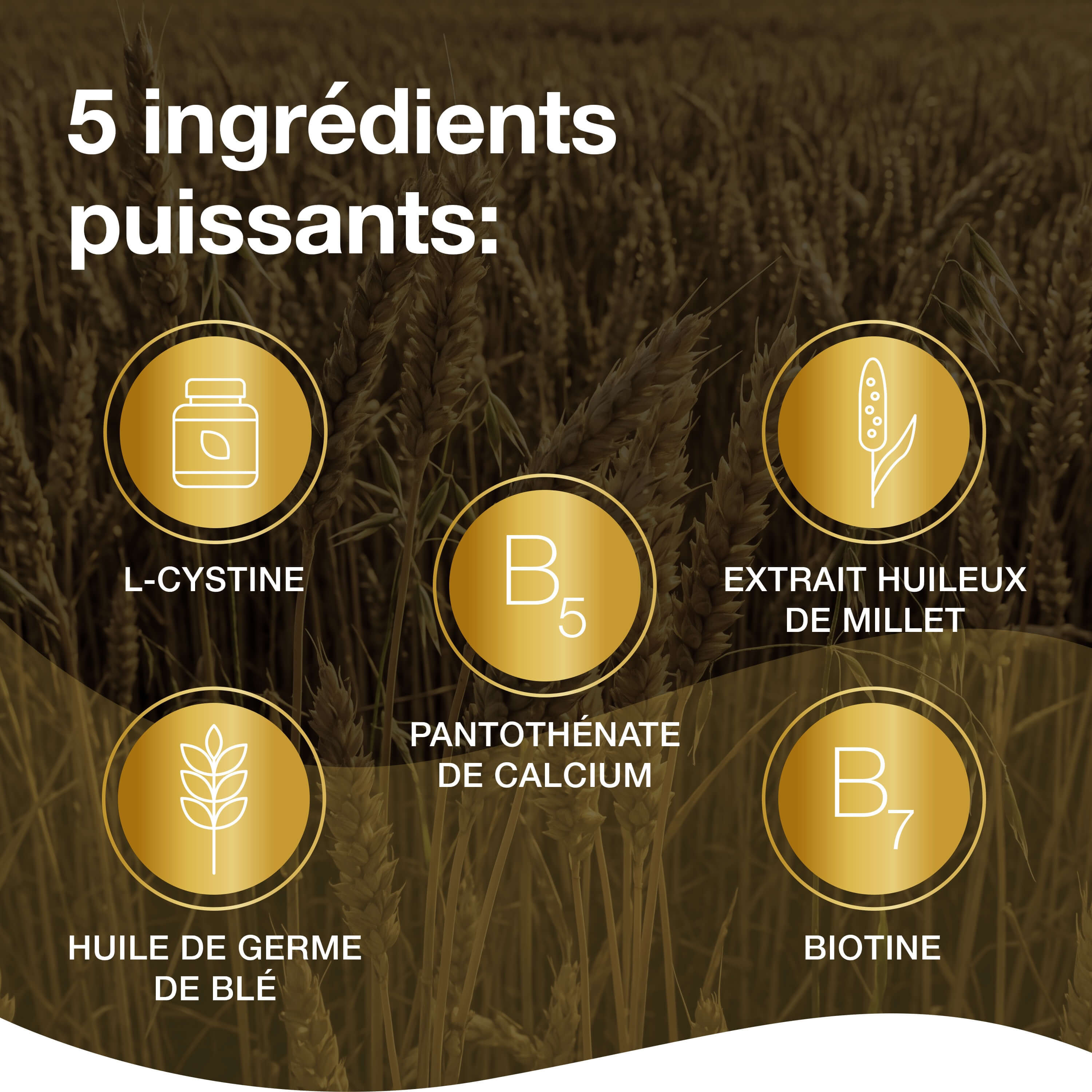 Priorin Biotin